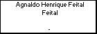 Agnaldo Henrique Feital Feital