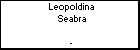 Leopoldina Seabra