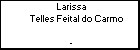 Larissa Telles Feital do Carmo