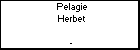 Pelagie Herbet