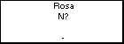 Rosa N?