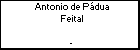 Antonio de Pdua Feital