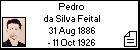 Pedro da Silva Feital