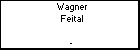 Wagner Feital