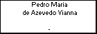 Pedro Maria de Azevedo Vianna