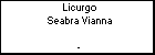 Licurgo Seabra Vianna