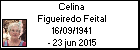 Celina Figueiredo Feital