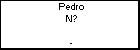 Pedro N?
